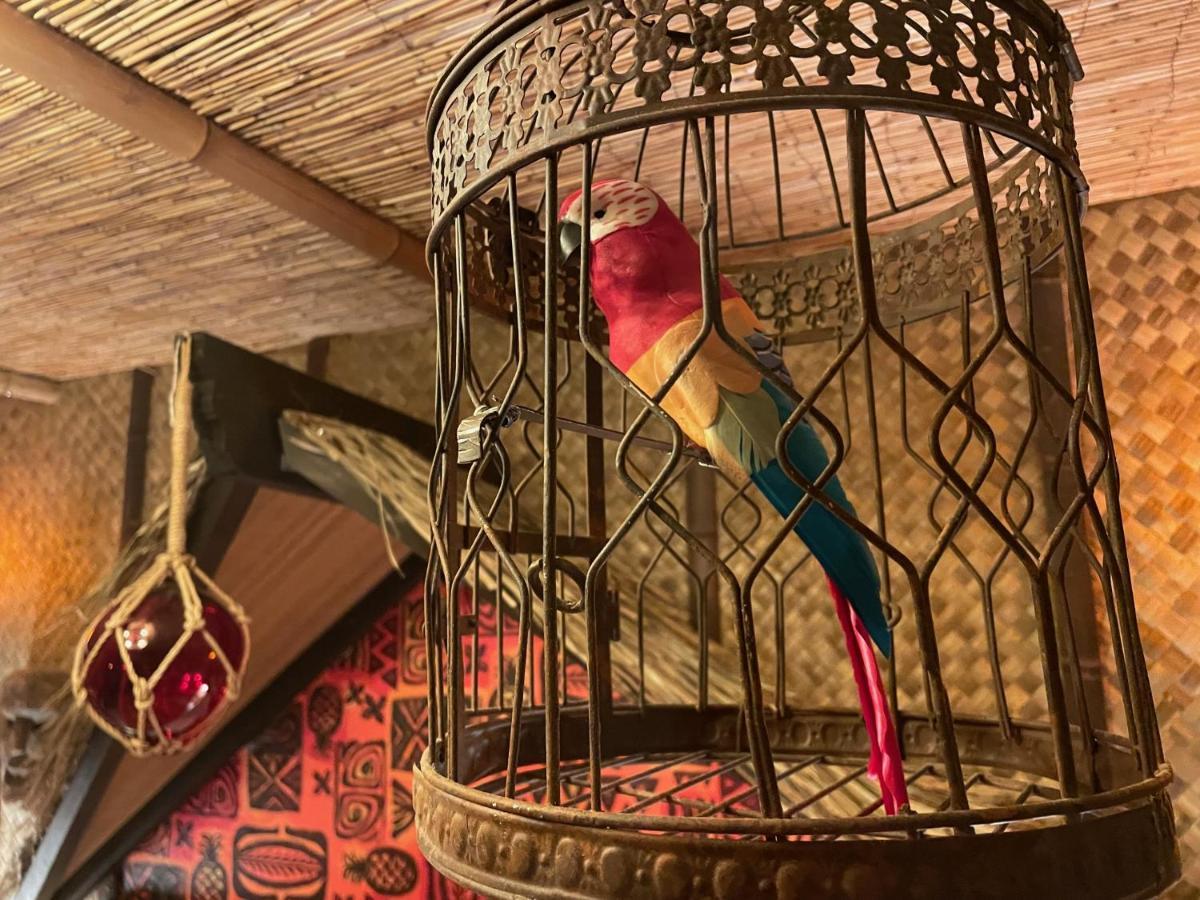 The Kondo Tiki Τάμπα Εξωτερικό φωτογραφία